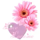LORAINE