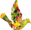 Springtime Bird