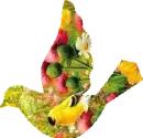 Springtime Bird