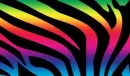 rainbow wallpaper
