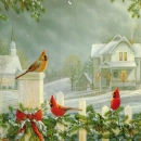 Winter scene