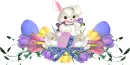 Bunny Divider