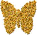 Sunflower Butterfly