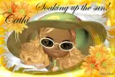 CATHI