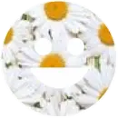 Daisy Heart