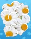 Daisy Hearts