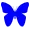 Blue Butterfly
