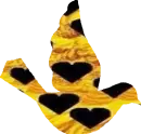 Gold n Black Heart Bird