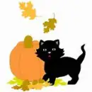 Black Cat n Pumpkin