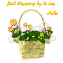 Hello