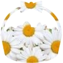 Daisy Basket