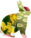 Spring Bunny