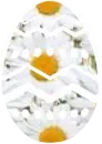 Daisy Egg