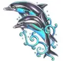 Dolphin
