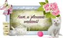 Have a pleasant weekend!