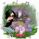 Spring_Pami