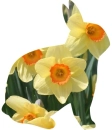 Daffodil Bunny