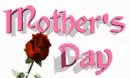 mother's day rose