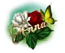 Anna-Red N White roses