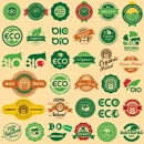 organic wallpaper