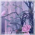  à¼» Sad Scenery 