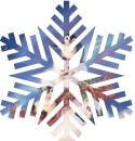 Snowflake