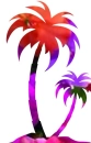 Palm Tree