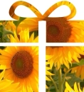 Sunflower Presant