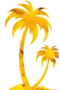 Sunny Palm Tree