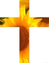 Flower Cross