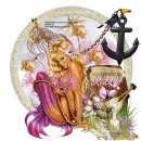 Sea Adventure/Mermaid 2/Robbie