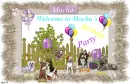 Jessi -Welcome to Mocha's Birthday Party