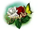 Tonya-Red n White roses