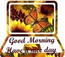 Good Morning