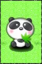 Cute little panda sitting down