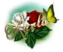 Karla-Red N white roses