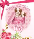 Happy Birthday Ari