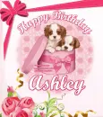 Happy Birthday Ashley