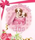 Happy Birthday Elia 