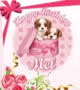 Happy Birthday Mel