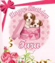 Happy Birthday Tara