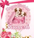 Happy Birthday Ramesh
