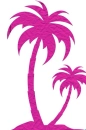 Palm Tree