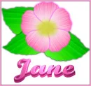 Jane