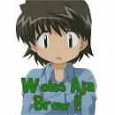 Woles Aja Brow