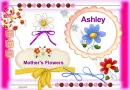 MOTHER'S FLOWERS - ASHLEY