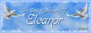 In memory of.. Eleanor