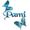 Pami