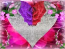 hearts 