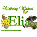 Elia - Birthday Wishes - Girl